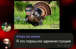 😂 emoji Атака на некки by @offstikbot Telegram sticker 3 of 44