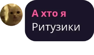 Sticker from ебейши магазин срунька