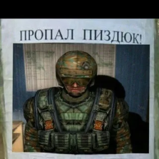 🌟 emoji Да поебать нам сталкерам Telegram sticker 9 of 120