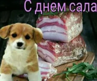 🌟 emoji Открытки для близких 😍❤️ Telegram sticker 12 of 44