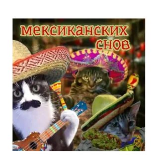 🐱 emoji Открытки для близких 😍❤️ Telegram sticker 21 of 44
