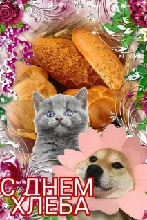 🌟 emoji Открытки для близких 😍❤️ Telegram sticker 17 of 44
