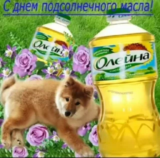 🌟 emoji Открытки для близких 😍❤️ Telegram sticker 2 of 44