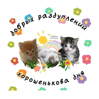 🐱 emoji Открытки для близких 😍❤️ Telegram sticker 24 of 44