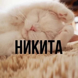 🌟 emoji Nikita Telegram sticker 6 of 36