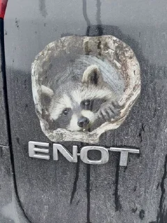 Sticker from Енотик Обожрун