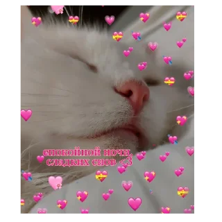 Sticker from 💍💗