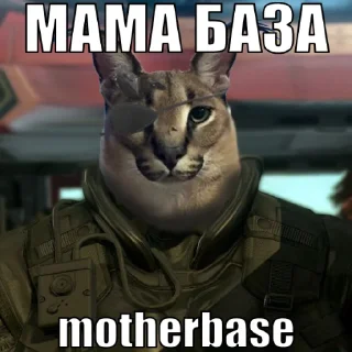 🐱 emoji Стікер пак Штабу Візира Telegram sticker 11 of 58