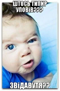 ⁉️ emoji закарпаття стікер пак Telegram sticker 11 of 72