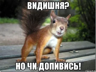 🍺 emoji закарпаття стікер пак Telegram sticker 22 of 72