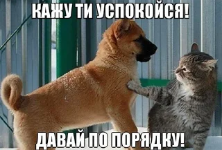 😨 emoji закарпаття стікер пак Telegram sticker 10 of 72