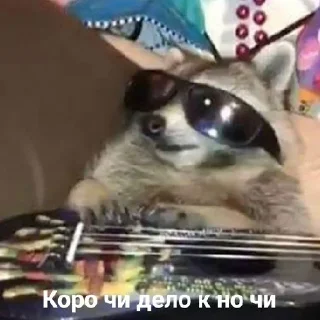 Sticker from Енотусы и их друзья