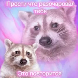 Sticker from Енотусы и их друзья