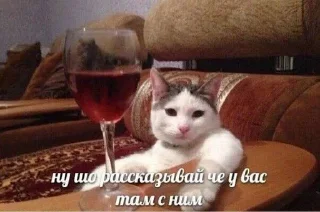 Sticker from Шо ты ?