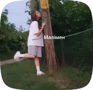 🌟 emoji 5 гривень Telegram sticker 21 of 24