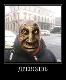 😂 emoji Мудрый дуб от @Shedevroimyapolzovatelya ➡️ @Ctiker Telegram sticker 14 of 104