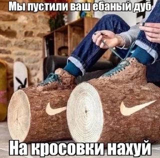 😂 emoji Мудрый дуб от @Shedevroimyapolzovatelya ➡️ @Ctiker Telegram sticker 24 of 104