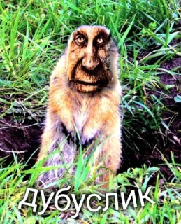😂 emoji Мудрый дуб от @Shedevroimyapolzovatelya ➡️ @Ctiker Telegram sticker 23 of 104