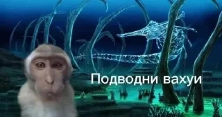 Sticker from вахуи (by emil)
