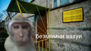 Sticker from вахуи (by emil)