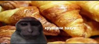 Sticker from вахуи (by emil)