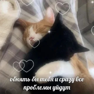 Sticker from Ура пикчи