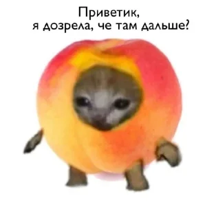 Sticker from Ура пикчи