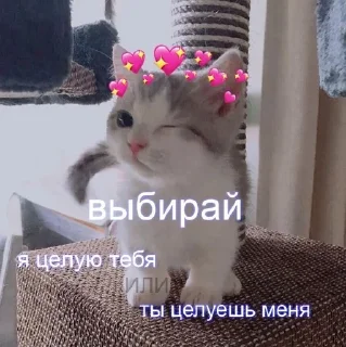 Sticker from Ура пикчи