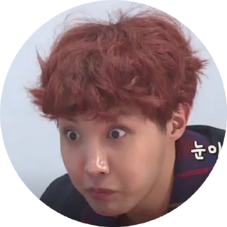 Sticker from J-hope_Hoseok_JungHoseok