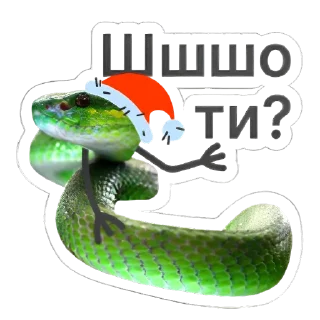 🧐 emoji Щщщасссливого Нового року Telegram sticker 8 of 15