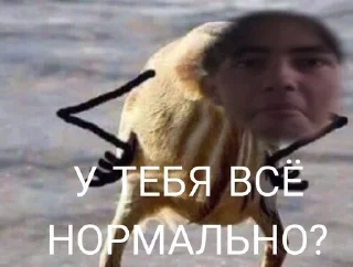 🌟 emoji Ебалай Telegram sticker 23 of 24
