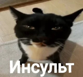 🌟 emoji ухотрясник (@chainiypt и @yxotryas) Telegram sticker 22 of 120