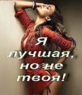 Sticker from вот я сука