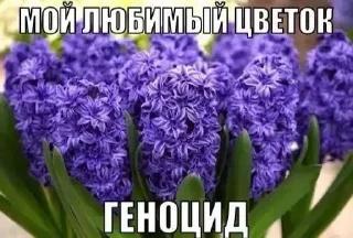 🪻 emoji Избранное от MaLiNa_dev Telegram sticker 7 of 13