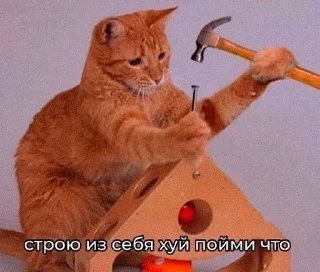 🧐 emoji КОтИки Telegram sticker 11 of 49