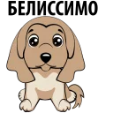 🐶 emoji Puppies @TVstickers Telegram sticker 13 of 26