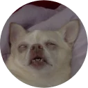 🐶 emoji Doggy Style Telegram sticker 14 of 35