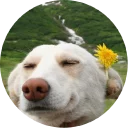 🐶 emoji Doggy Style Telegram sticker 6 of 35