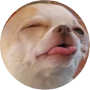 🐶 emoji Doggy Style Telegram sticker 18 of 35