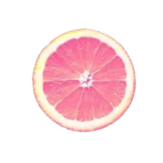 🎡 emoji 🍵𝒔𝒖𝒎𝒎𝒆𝒓 🌴  𝒕𝒐𝒄𝒂 𝒆𝒓𝒊𝒄𝒂 Telegram sticker 19 of 43