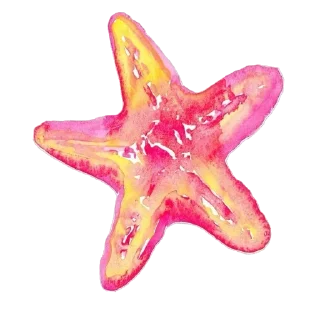 🌸 emoji 🍵𝒔𝒖𝒎𝒎𝒆𝒓 🌴  𝒕𝒐𝒄𝒂 𝒆𝒓𝒊𝒄𝒂 Telegram sticker 6 of 43