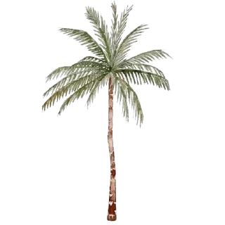 🎆 emoji 🍵𝒔𝒖𝒎𝒎𝒆𝒓 🌴  𝒕𝒐𝒄𝒂 𝒆𝒓𝒊𝒄𝒂 Telegram sticker 17 of 43