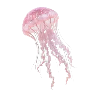 🍖 emoji 🍵𝒔𝒖𝒎𝒎𝒆𝒓 🌴  𝒕𝒐𝒄𝒂 𝒆𝒓𝒊𝒄𝒂 Telegram sticker 14 of 43