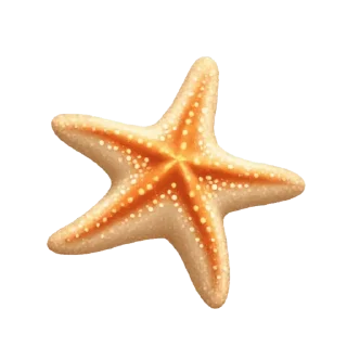 🧸 emoji 🍵𝒔𝒖𝒎𝒎𝒆𝒓 🌴  𝒕𝒐𝒄𝒂 𝒆𝒓𝒊𝒄𝒂 Telegram sticker 7 of 43