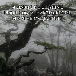 Sticker from Венчик