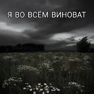 Sticker from Венчик