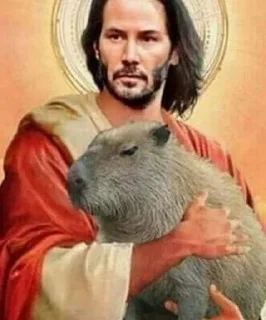 Sticker from КАПИБРА @KawaiiRUbot @Anonroll_bot