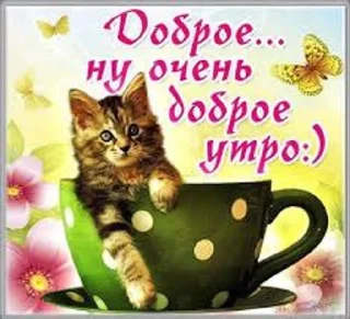 ✨ emoji myr уля Telegram sticker 15 of 66