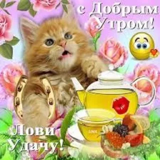🤩 emoji myr уля Telegram sticker 3 of 66