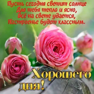 ❤️ emoji myr уля Telegram sticker 24 of 66